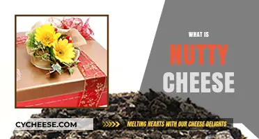 Discover Nutty Cheese: A Unique, Flavorful, and Versatile Culinary Delight