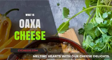 Discover the Creamy Delight: What is Oaxaca Cheese and How to Use It