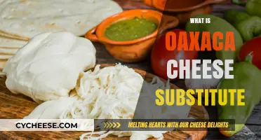 Discover the Best Oaxaca Cheese Substitute for Your Recipes