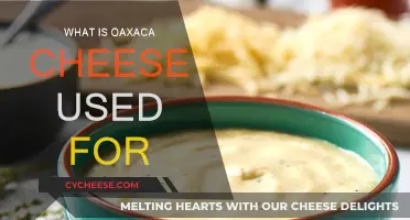 Oaxaca Cheese: Melty, Stringy, and Perfect for..