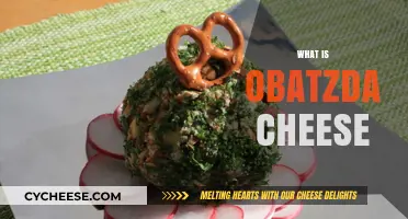 Discover Obatzda: Bavaria's Iconic Spicy Beer Cheese Delight