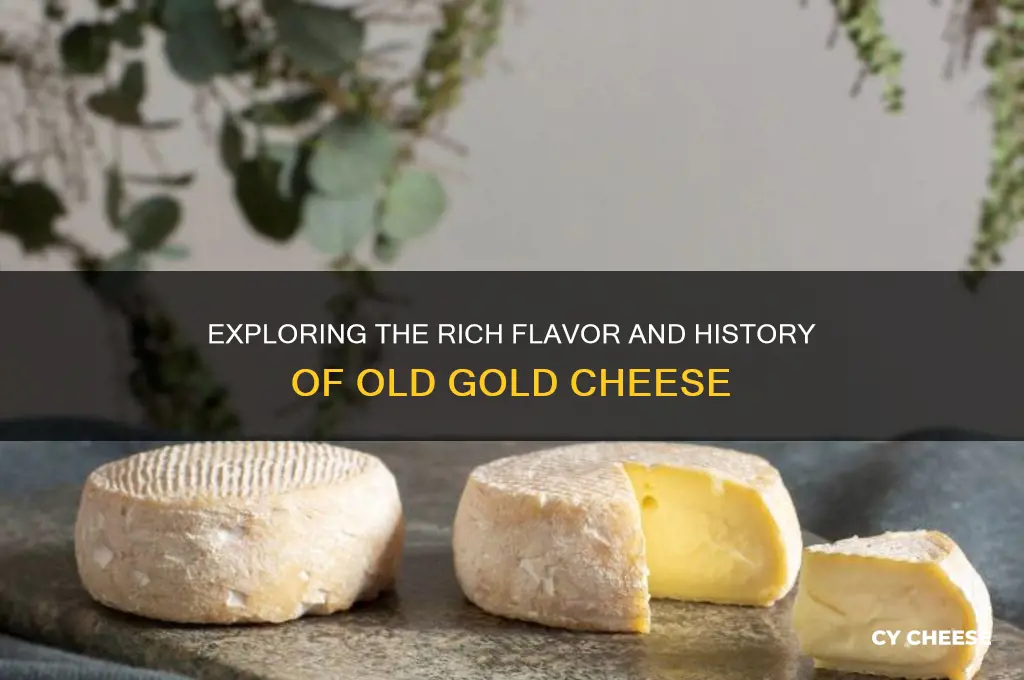 what is old gold cheese