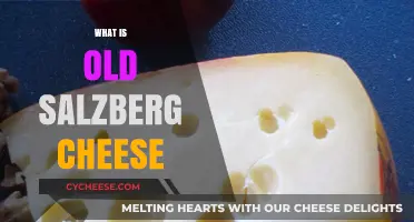 Discovering Old Salzberg Cheese: Origins, Flavor, and Culinary Uses
