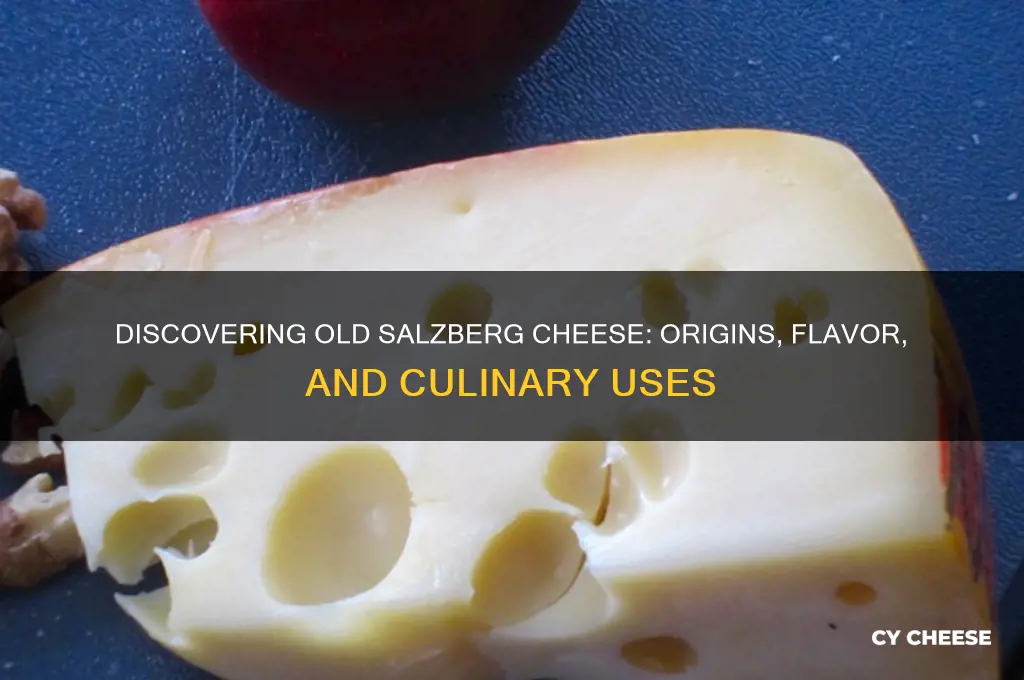 what is old salzberg cheese