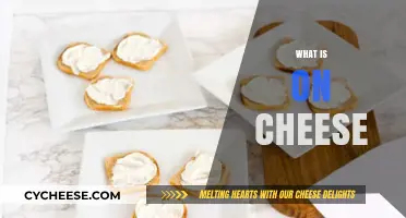 Exploring Cheese Toppings: What's On Your Favorite Cheesy Delights?