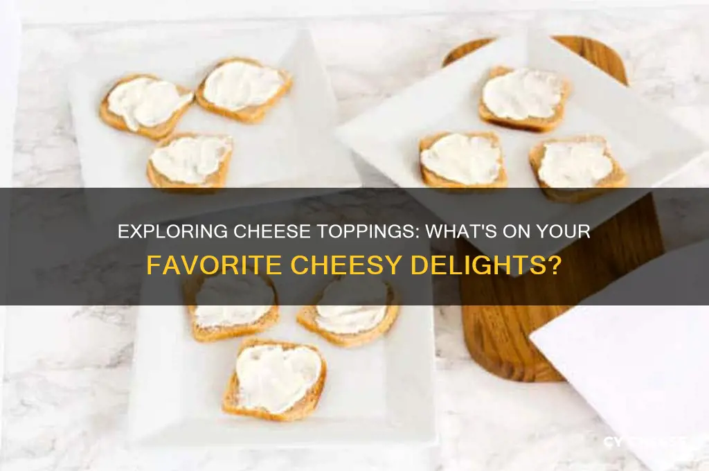 what is on cheese