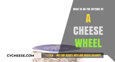 Exploring the Outer Layers: What Covers a Cheese Wheel