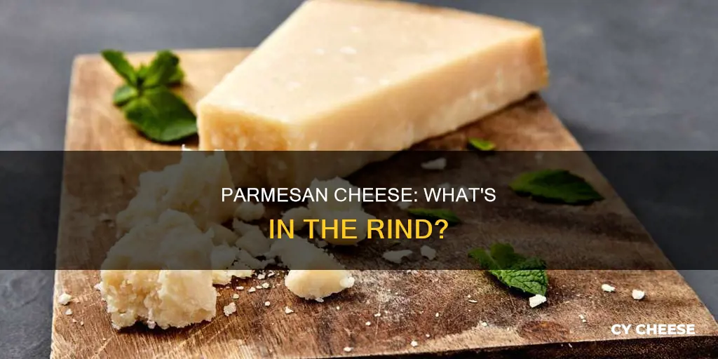 what is on the outside of parmesan cheese