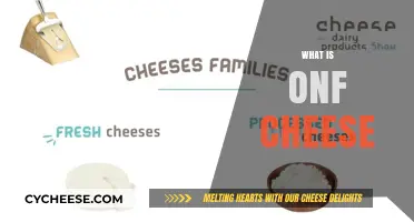 Understanding ONF Cheese: Origins, Uses, and Unique Flavor Profile