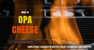 Discovering Opa Cheese: Origins, Uses, and Unique Flavor Profile