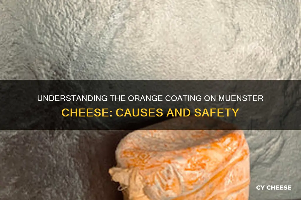 what is orange stuff on outside of muenster cheese