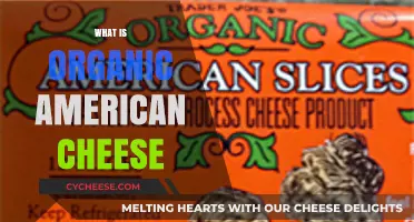 Understanding Organic American Cheese: Ingredients, Production, and Benefits