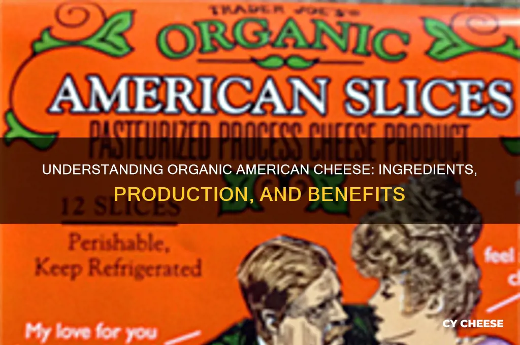 what is organic american cheese