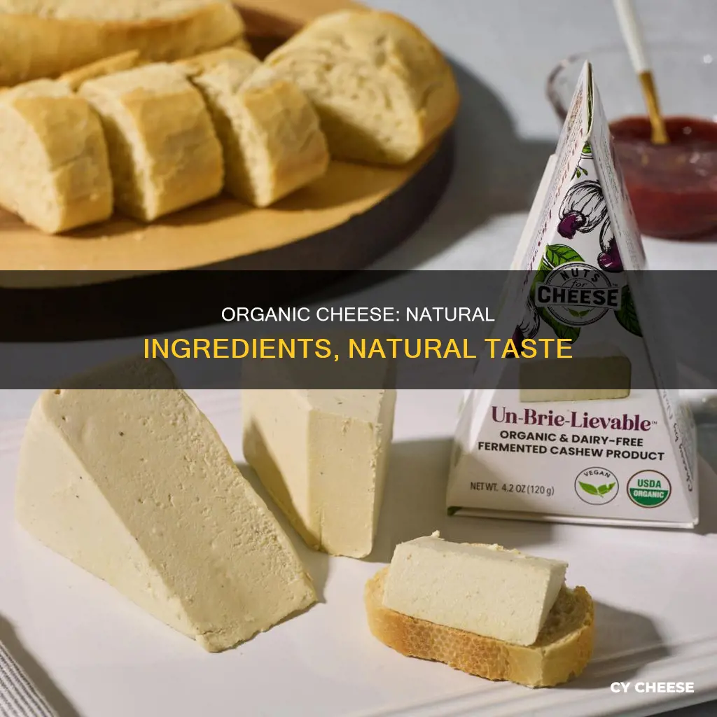 what is organic cheese made of