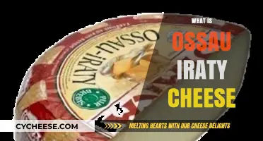 Discover the Rich Flavors of Ossau Iraty Cheese: A French Delight