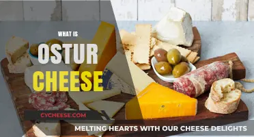 Discovering Ostur Cheese: Origins, Flavor Profile, and Culinary Uses