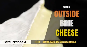 Exploring the Unique Rind and Flavor of Outer Brie Cheese