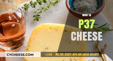 Exploring P37 Cheese: Origins, Flavor Profile, and Culinary Uses