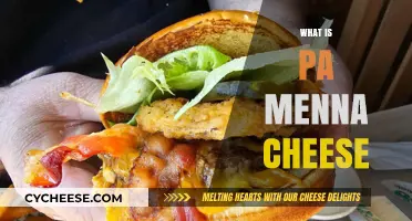 Discover the Unique Flavor and Origin of PA Menna Cheese