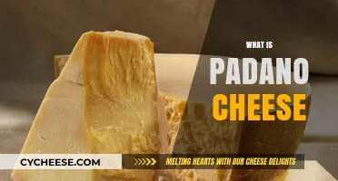 Discovering Padano Cheese: Origins, Flavor, and Culinary Uses Explained