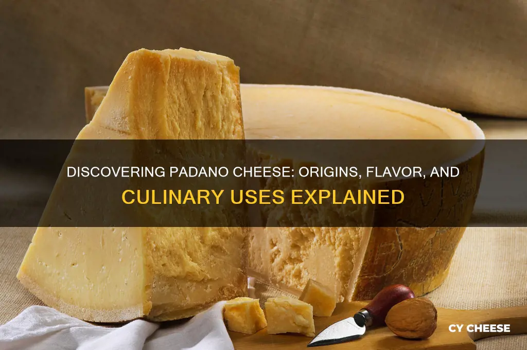 what is padano cheese