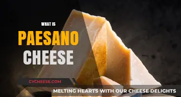 Discover the Rich Flavor and History of Paesano Cheese