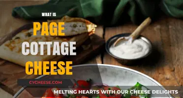 Understanding Page Cottage Cheese: Origins, Uses, and Nutritional Benefits