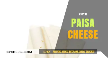 Discover the Unique Flavor and Origin of Paisa Cheese