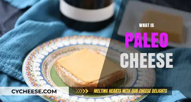 Discover Paleo Cheese: Nut-Based, Dairy-Free, and Delicious Alternatives