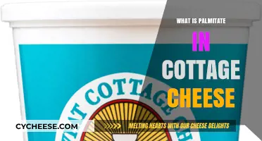Understanding Palmitate: Its Role and Presence in Cottage Cheese Explained
