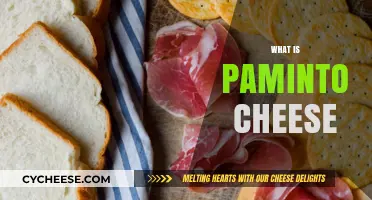 Discover the Southern Delight: What is Pimento Cheese?