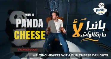Discover the Unique Flavor and Origin of Panda Cheese