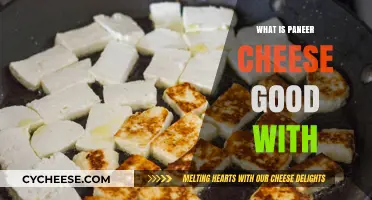 Delicious Paneer Pairings: Best Dishes to Complement This Versatile Cheese