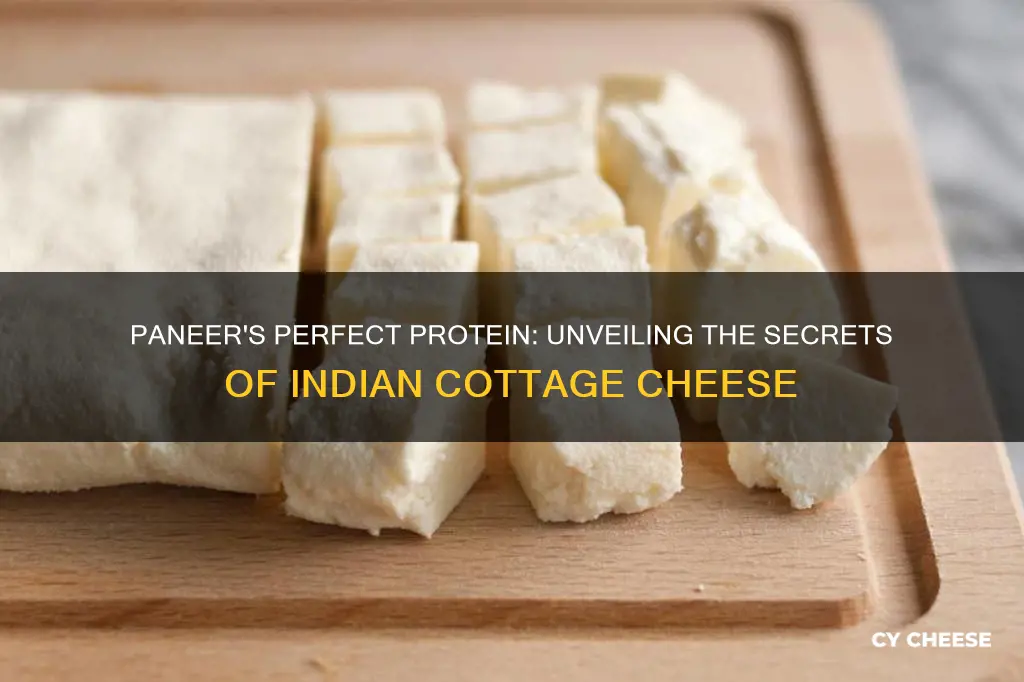 what is paneer cheese made from