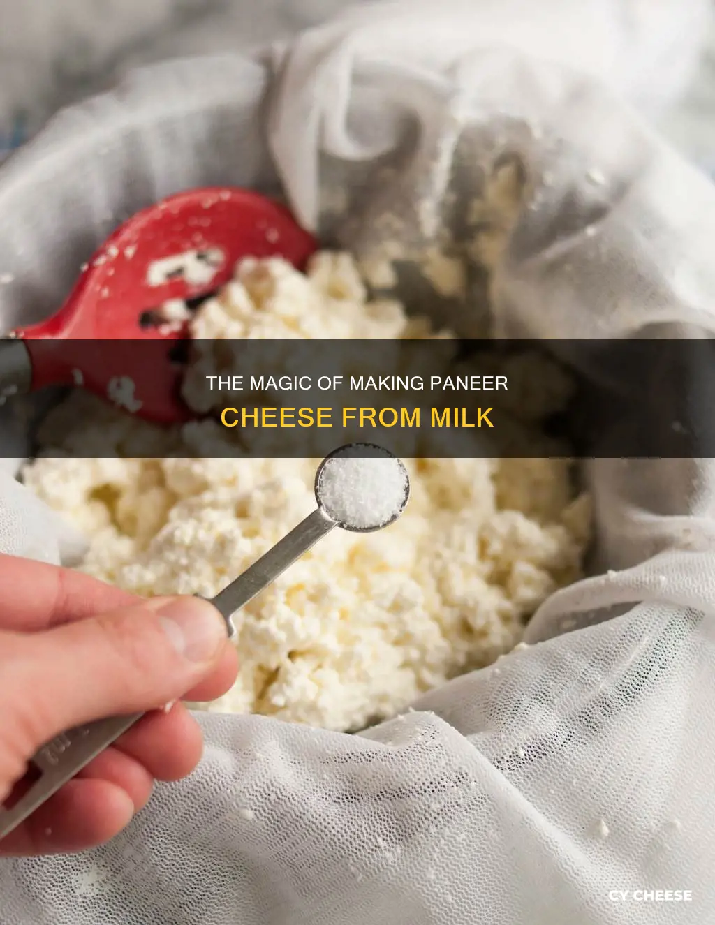 what is paneer cheese made from