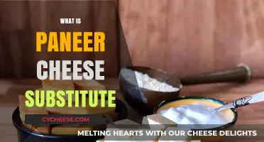 Discover the Best Paneer Cheese Substitute for Your Recipes