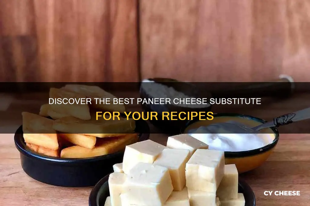 what is paneer cheese substitute