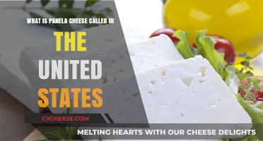 Panela Cheese in the U.S.: What's Its Common Name?