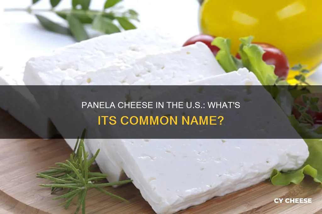 what is panela cheese called in the united states