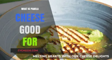 Discover Panela Cheese Benefits: Uses, Recipes, and Health Advantages