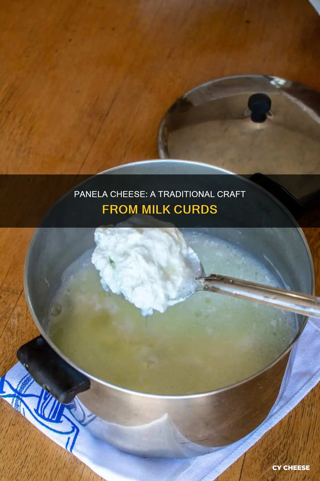 what is panela cheese made of