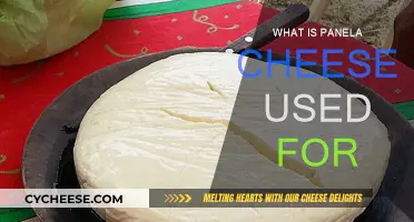 Panela Cheese: Uses and Benefits