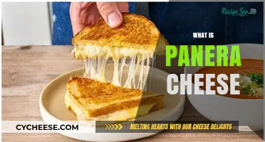 Exploring Panera Cheese: Ingredients, Uses, and Nutritional Value