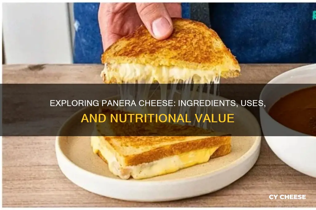 what is panera cheese
