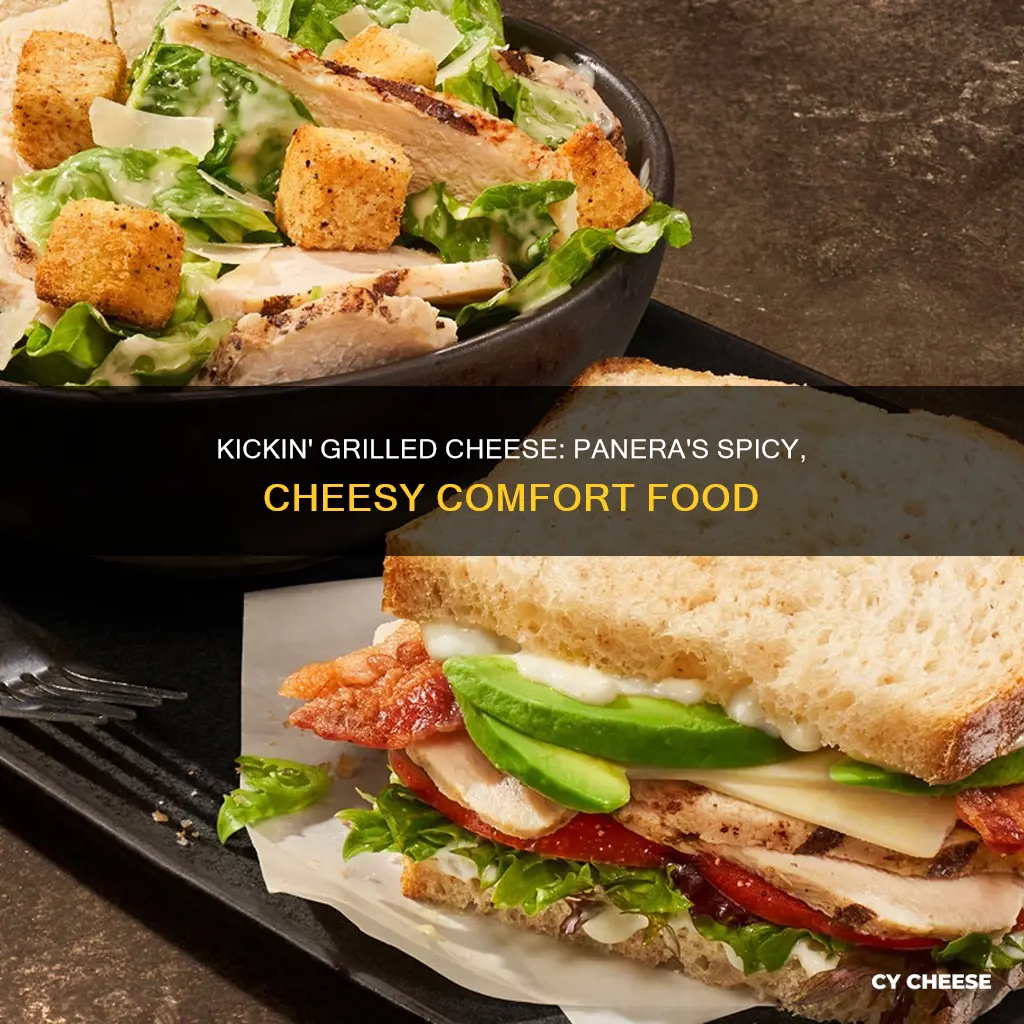 what is panera kickin grilled cheese