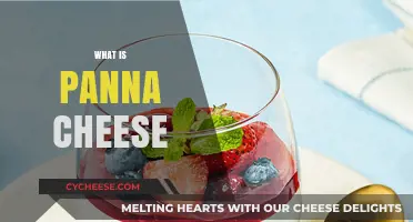Discover the Creamy Delight: What is Panna Cheese and How to Use It