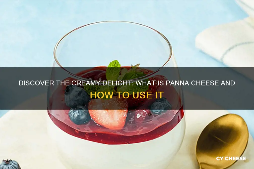 what is panna cheese