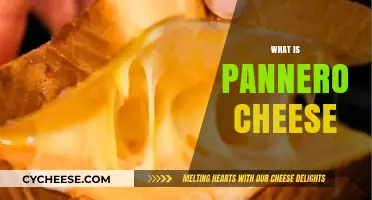Discover the Rich Flavor and Uses of Pannero Cheese