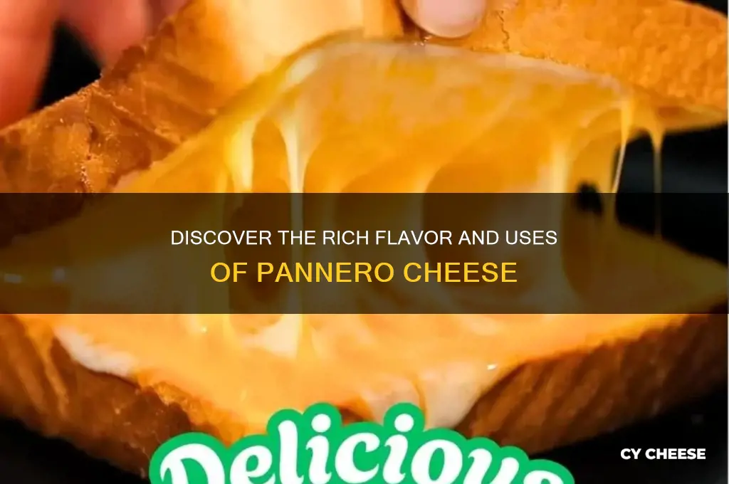 what is pannero cheese