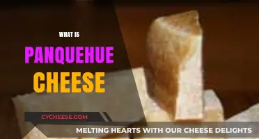 Discover Panquehue Cheese: Chile's Unique Artisanal Dairy Delight
